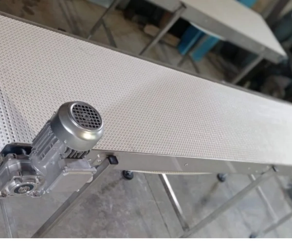 NASTRO TRASPORTATORE RETTILINEO Puglia 2